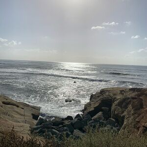 1st Posh Show/ Closet Cleanout / Sams posh show